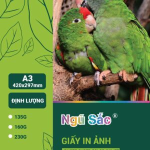 Giấy in ảnh Ngũ Sắc A3 1 mặt 230gsm 50 tờ