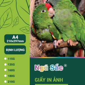 Giấy in ảnh Ngũ Sắc A4 1 mặt 210gsm 50 tờ