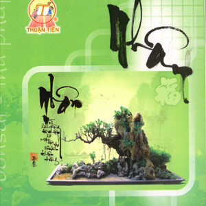 Tập thường 200tr phong cảnh