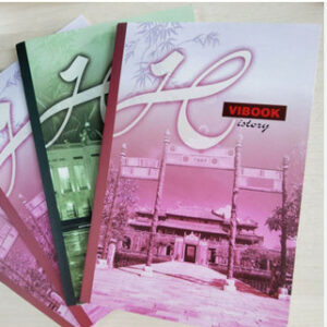 Tập Vĩnh Tiến kẻ ngang 200tr