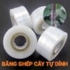 Cuộn Băng Keo Quấn Mối Ghép Cây Tự Hủy Khổ 3cm Màng PE Truyền Sáng Tự Dính