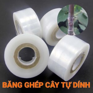 Cuộn Băng Keo Quấn Mối Ghép Cây Tự Hủy Khổ 3cm Màng PE Truyền Sáng Tự Dính